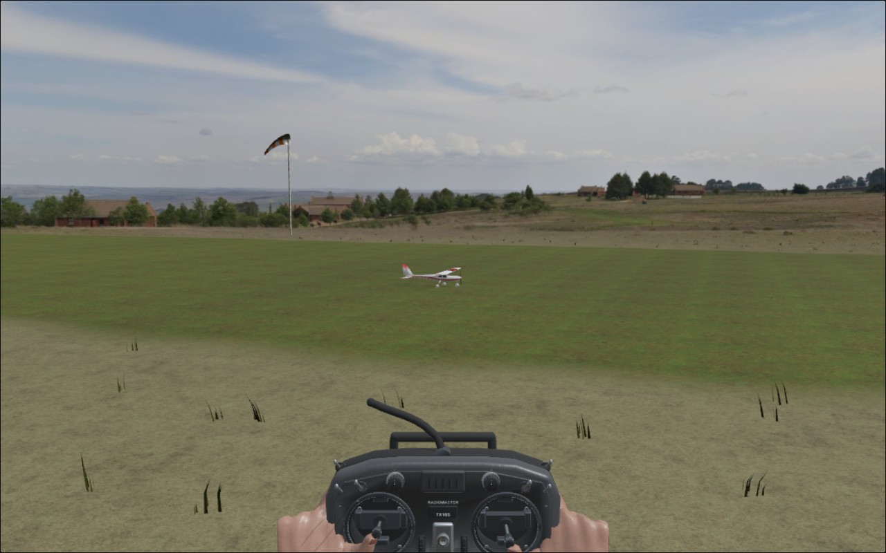Jackdaw on the grass runway with the pilot's transmitter in view